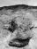 1047233013_022_Kolar_20012_327x433_.jpg