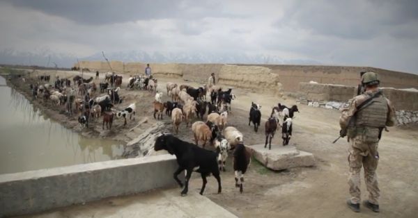 Sn&iacute;mek z nov&eacute;ho videoklipu PJ Harvey.