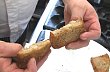 Spr�vn� usma�en� topinka.