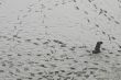 978146663_0213AFG_KABUL_AFGHANISTAN_DAILY_LIFE_898_550x367_.jpg