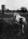 1047233013_055_Kolar_20035_317x433_.jpg