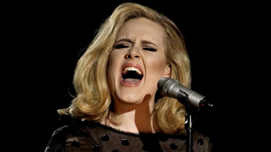 Nejspnjm albem loskho roku byla deska 21 zpvaky Adele.