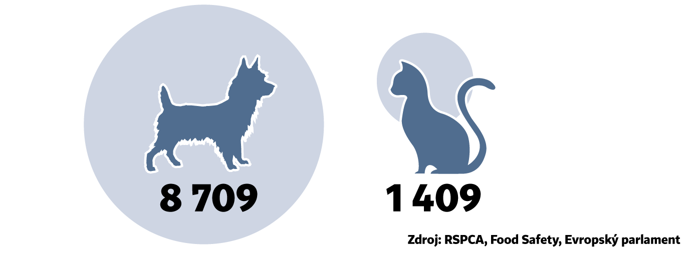 06 Llivot se zviL TM aty vyzkumy (Foto: Economia) 06 Llivot se zviL TM aty vyzkumy