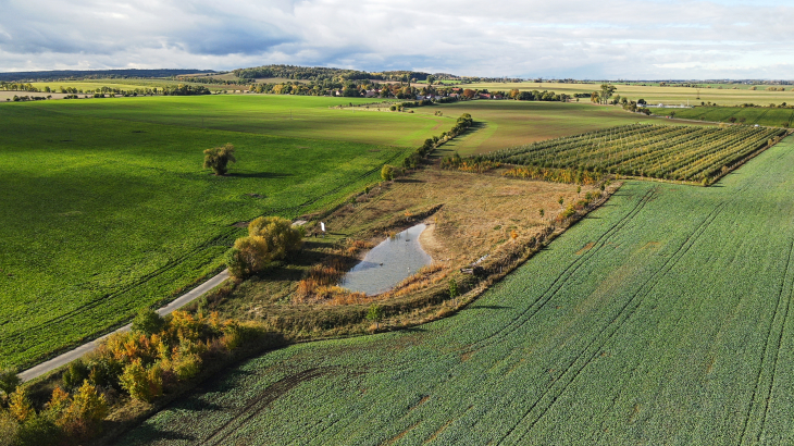 Nov zele, ndr a cesta v Nov Vsi u Rostoklat
