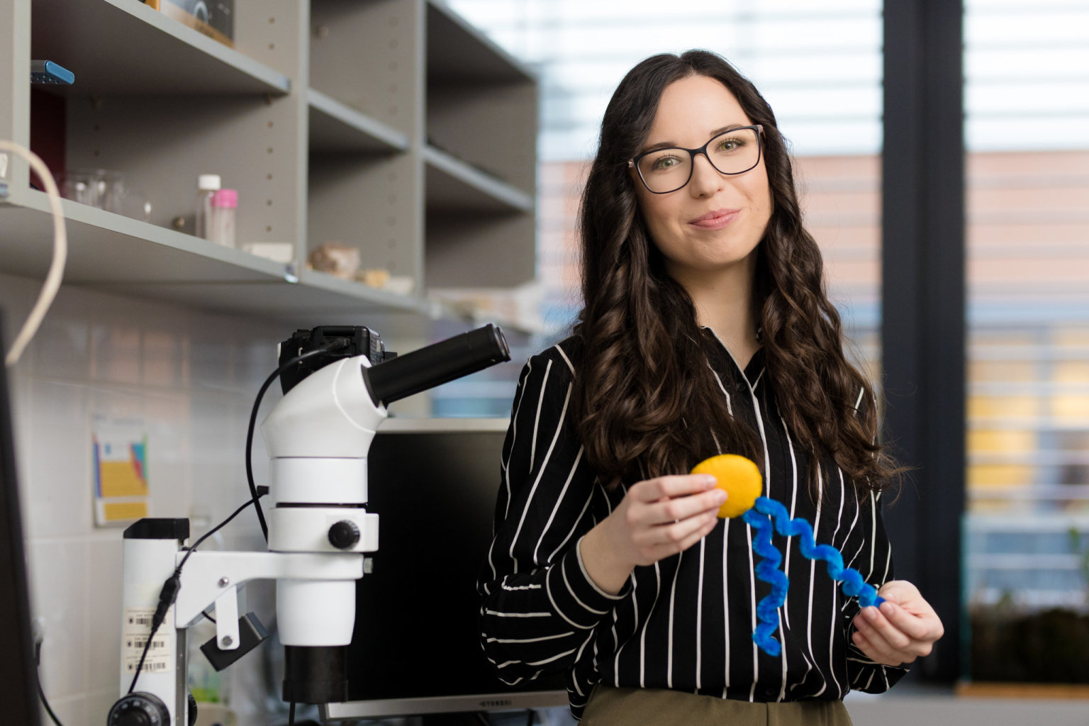 Dominika Bezdekov�