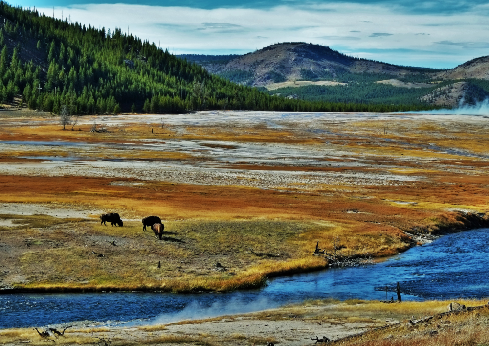 Yellowstone National Park, Wyoming