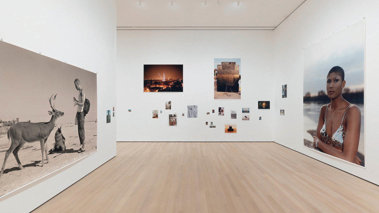 Wolfgang Tillmans, To look without fear, MoMA, do 1. 1. 2023