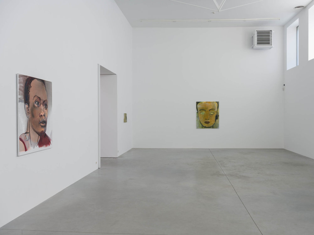 Pohled do instalace výstavy Marlene Dumasové Double Takes a na její obrazy.