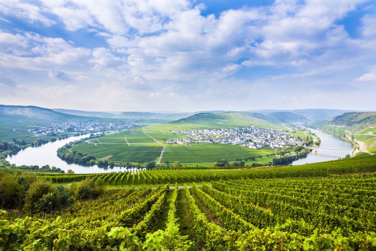 eky obecn hraj vznamnou roli vnmeckm vinohradnictv a nkter vinask oblasti jsou tak pojmenovan po ekch vnich protkajcch. Na fotce Mosela v Trittenheimu.