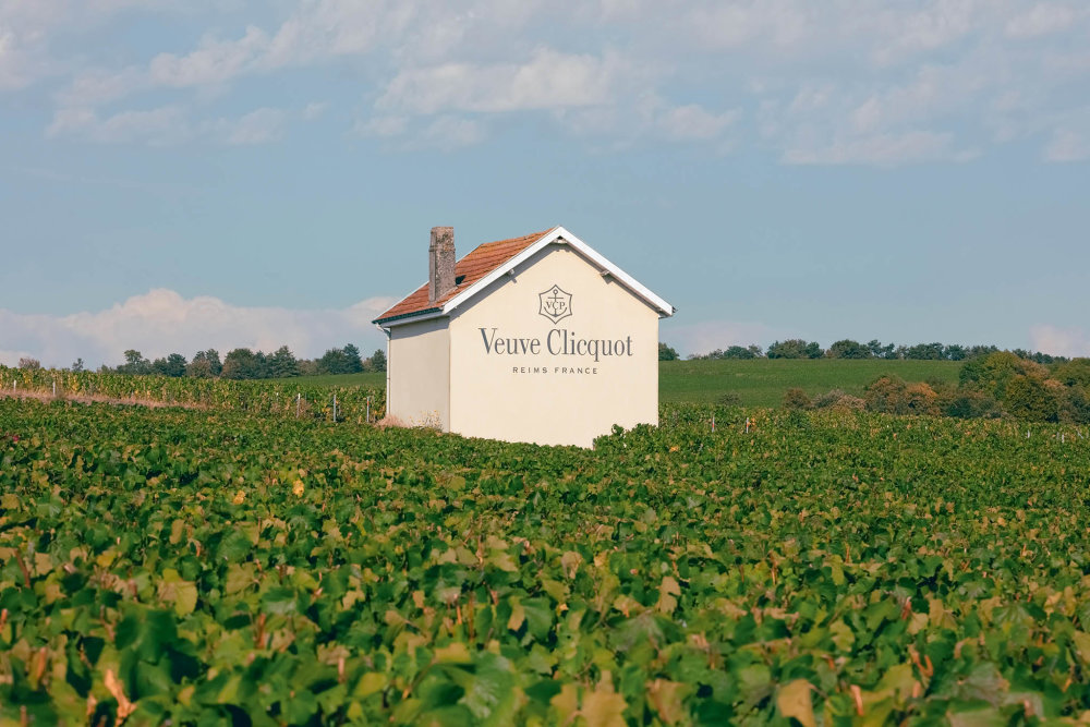 Vinice Maison Veuve Clicquot