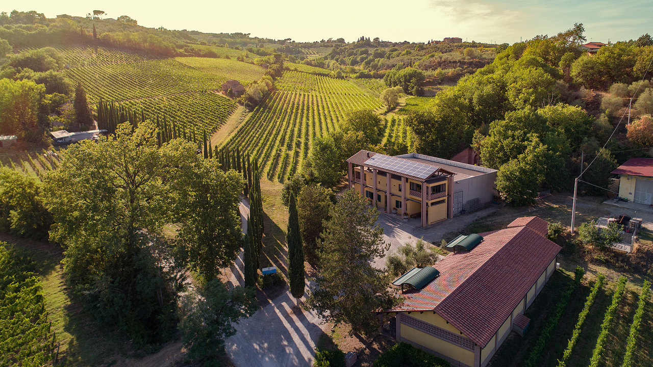 Roèní produkce vín Vino Nobile di Montepulciano se aktuálnì pohybuje kolem šesti až sedmi milionù lahví.