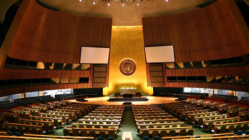 Sdlo OSN v New Yorku