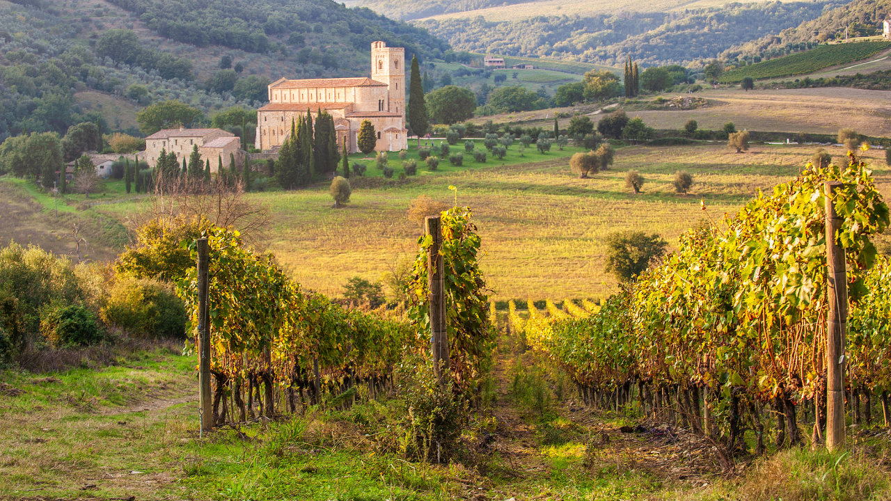 Vinask oblast kolem Montalcina t kolem 3500 hektar vinic. Z toho 2100 hektar je klasifikovno pro vrobu vn Brunello di Montalcino.