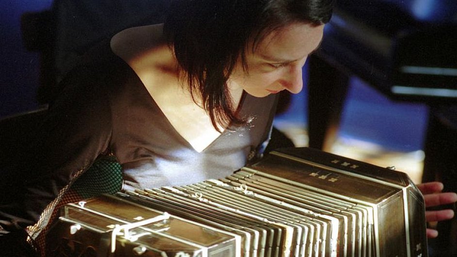 Na festivalu bude uveden i snmek Posledn harmonika reisra Alejandra Sadermana.