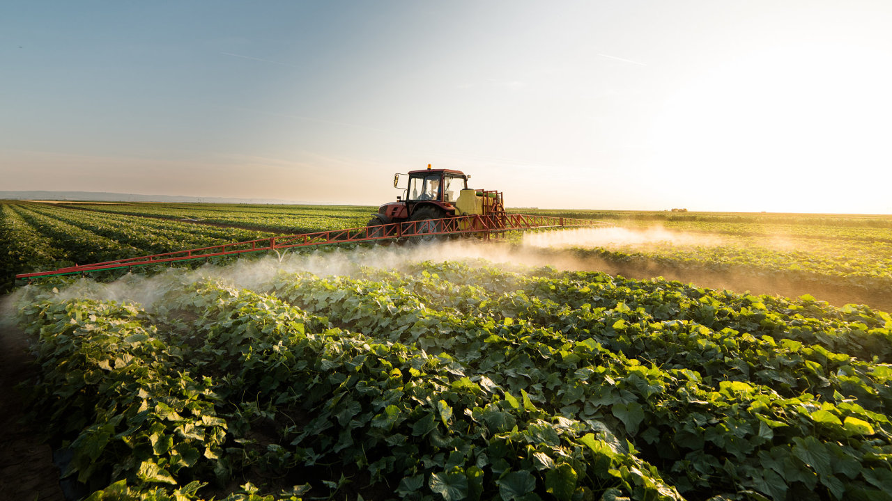 Podle Zemědělského svazu ČR sníží ekologické cíle obsažené ve strategii Farm to Fork zemědělskou produkci v EU o pětinu a zvýší ceny produktů.