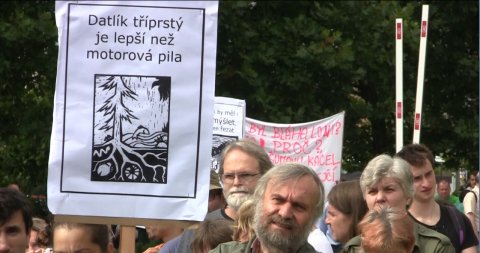 kurovec foto
