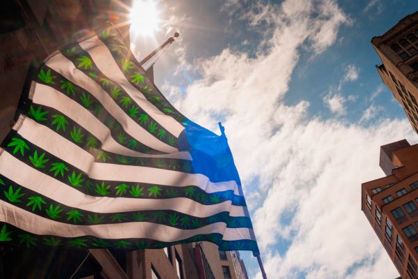 Agentura Bloomberg odhaduje, že v následujících 10 letech trh s marihuanou může v USA dosáhnout 50 miliard dolarů.