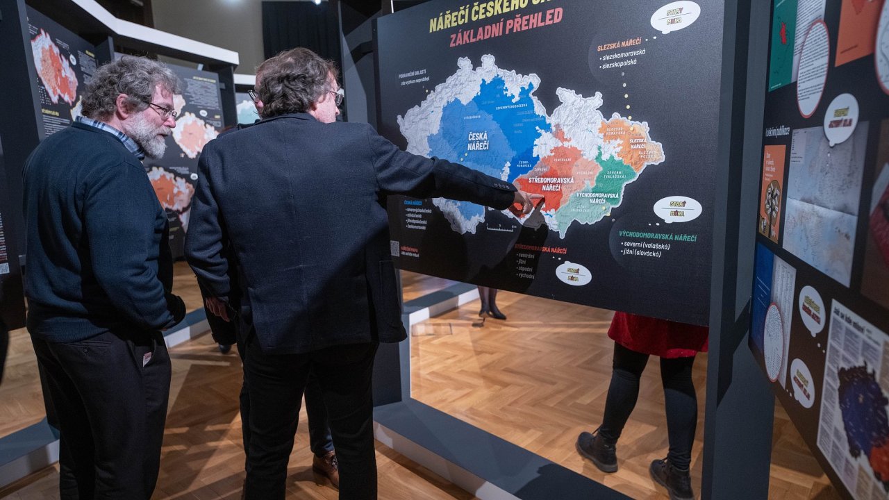 V�stava N��e��