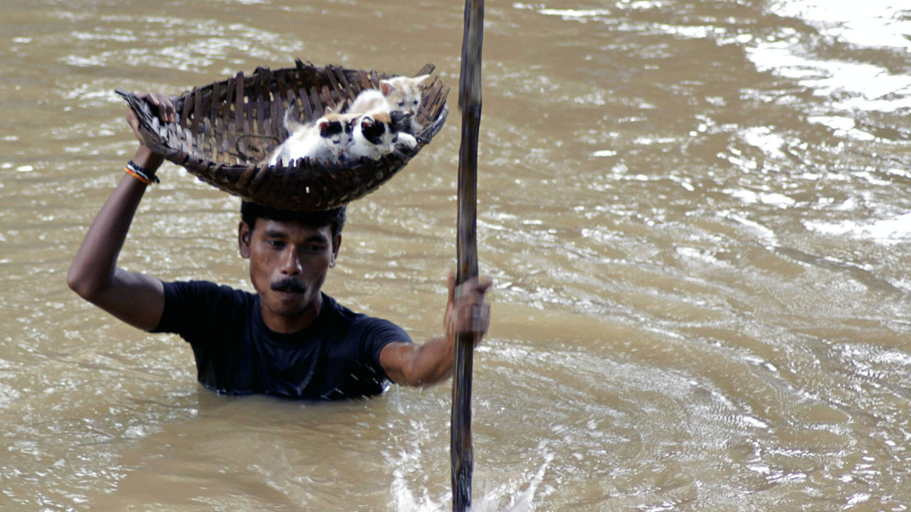 Zplavy v Indii - ilustran foto