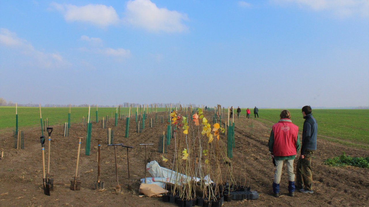 Zemdlci na jin Morav zaloili mstn ozeleovac spolek, na kterm spolupracuj. Poskytnou pdu, zajist sazenice a spolen s dobrovolnky je vysazuj.