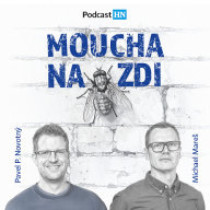Moucha na zdi.