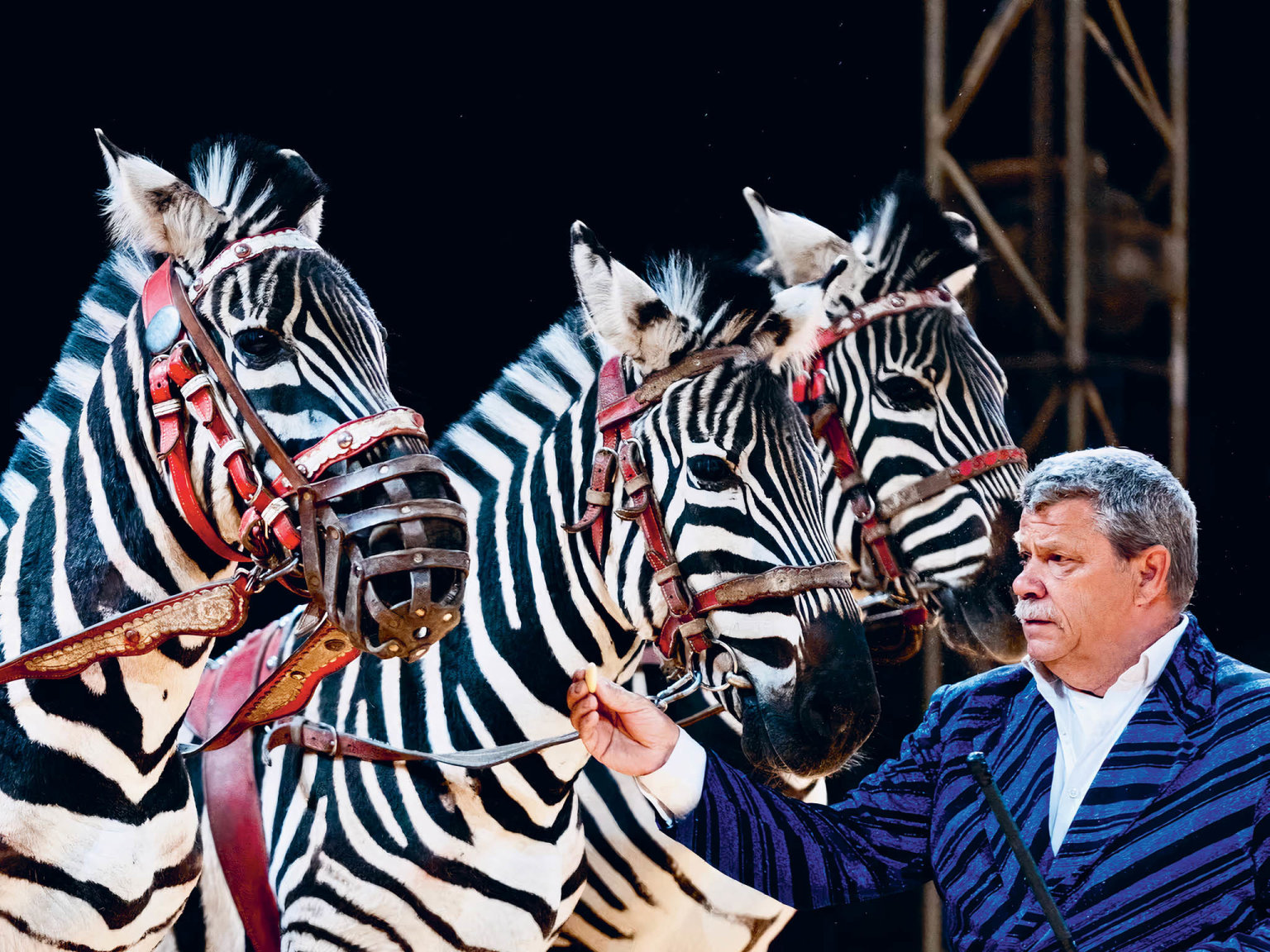 Cirkus Humberto je dnes patrn nejvtm podnikem v esku. Jeho konkurence postupn odpadla, hlavn ranou pro koovn byznys byla pandemie.