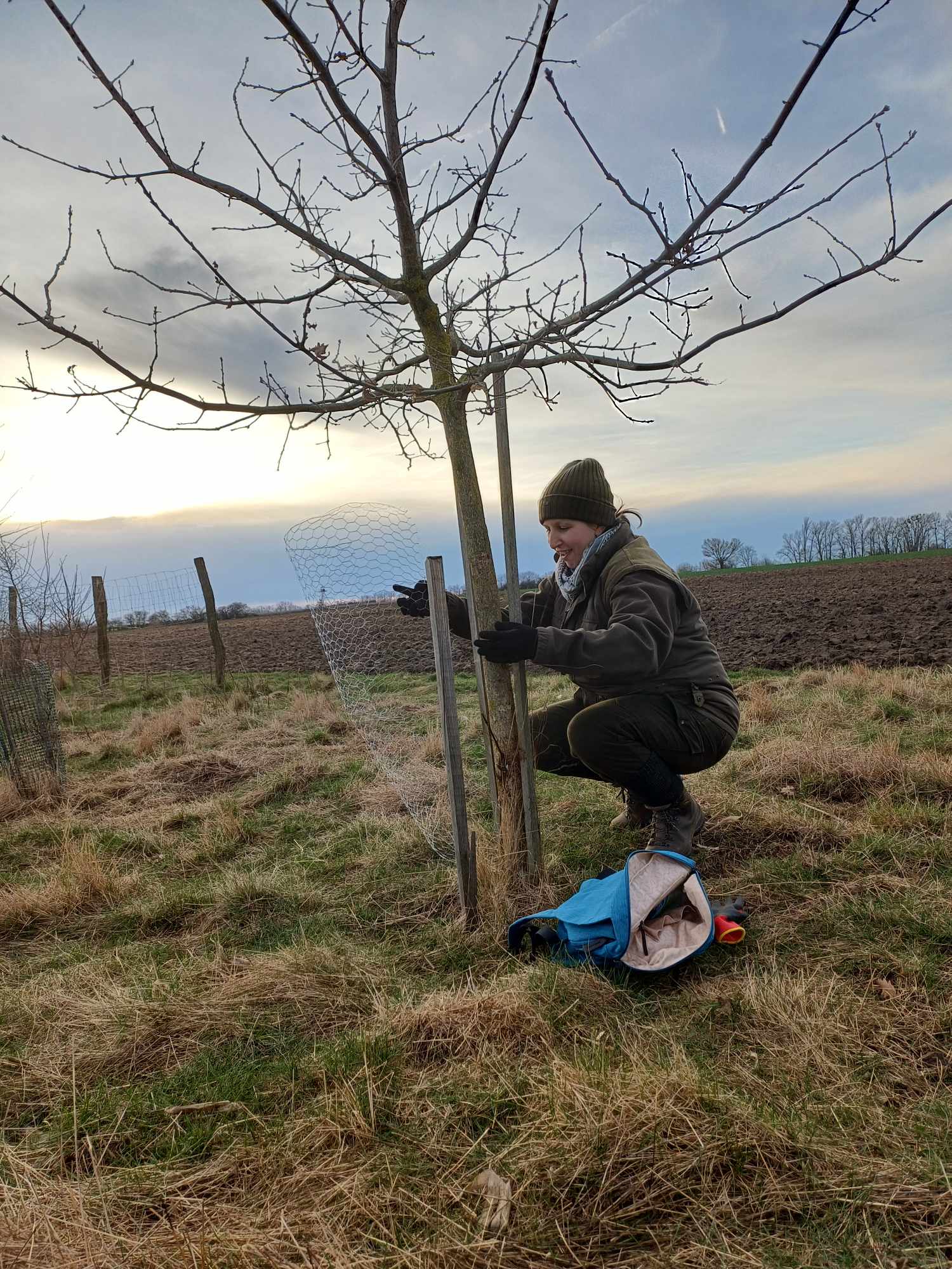 „Při výběru dřevin jsme vycházeli především z vlastní zkušenosti. Vidíme, co nám roste ve větrolamech, na zahradách i v okolních lesích,“ říká Aneta Kohútová. (Foto: Forest-Agro, #nový) Prvním agrolesnickým projektem farmy byl multifunkční větrolam, založený v roce 2018 jako biokoridor s lesními dřevinami na zemědělské půdě.