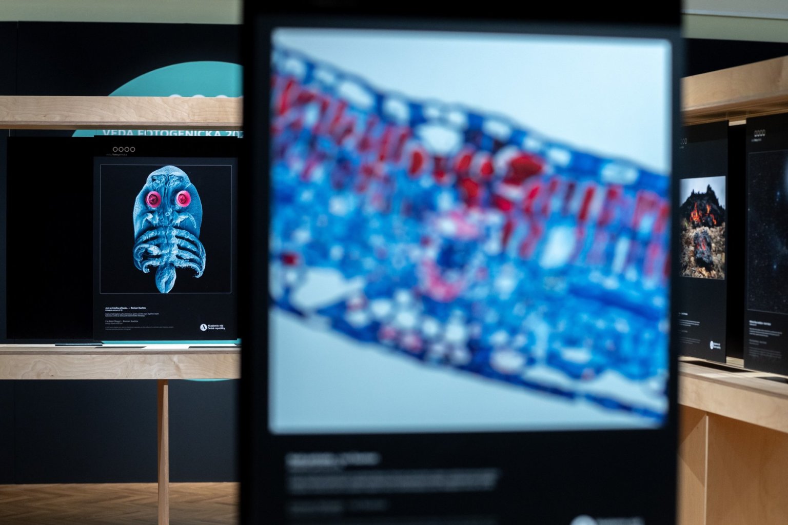 2025 12 03 veda fotogenicka vystava vyhlaseni cen fullres 013