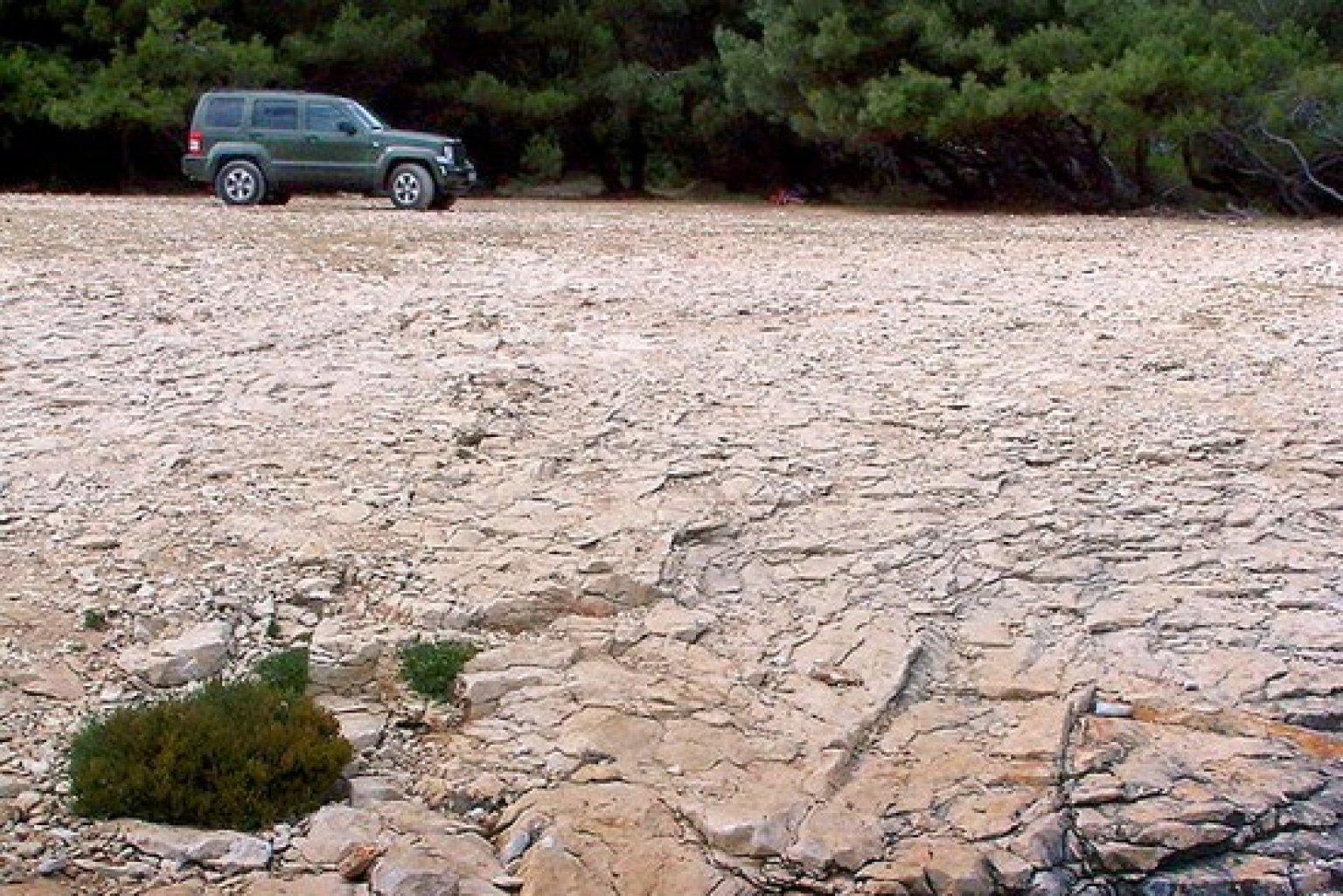 jeep_cherokee_16__550x367_.jpg