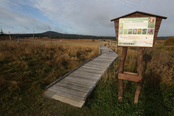 V&scaron;echno za�&iacute;n&aacute; nasv�d�ovat tomu, �e nejv�t&scaron;&iacute; evropsk&eacute; z&aacute;soby lithia le�&iacute; v&nbsp;Kru&scaron;n&yacute;ch hor&aacute;ch.