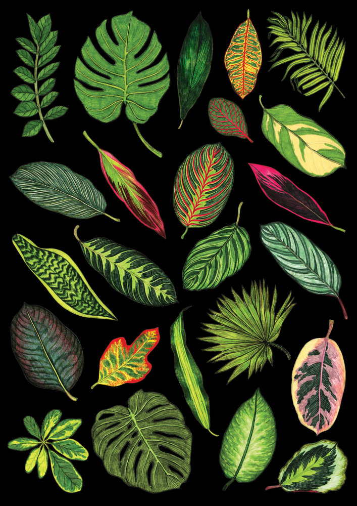 Ilustrace Kateřiny Kynclové