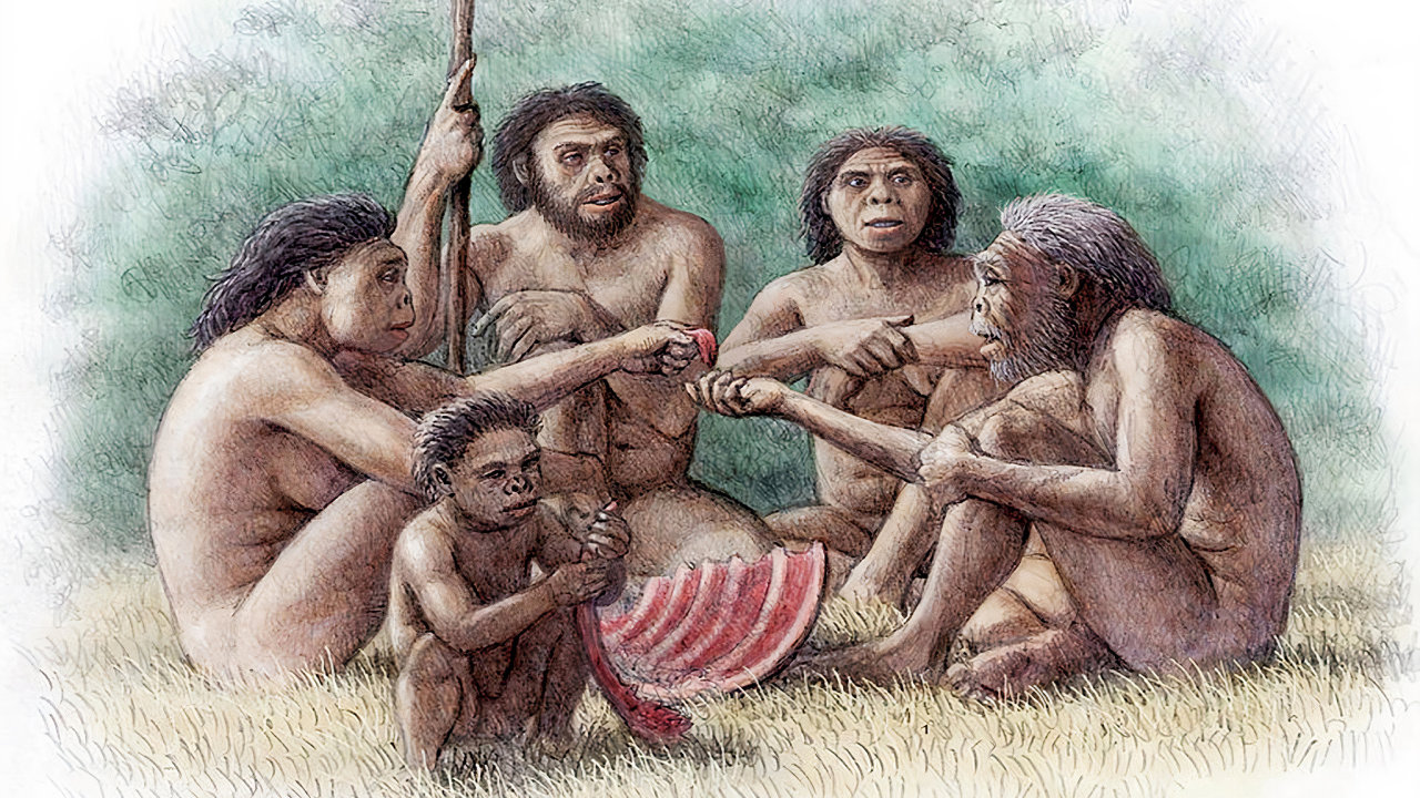 Homo erectus, rodina