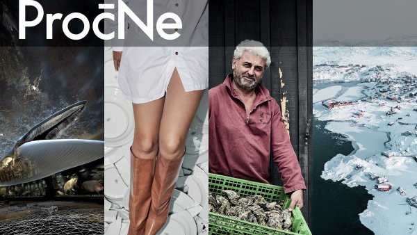 Šest prestižních ocenění pro PročNe! Magazín Hospodářských novin si z evropské novinářské přehlídky odnáší nejvíce cen ve své historii