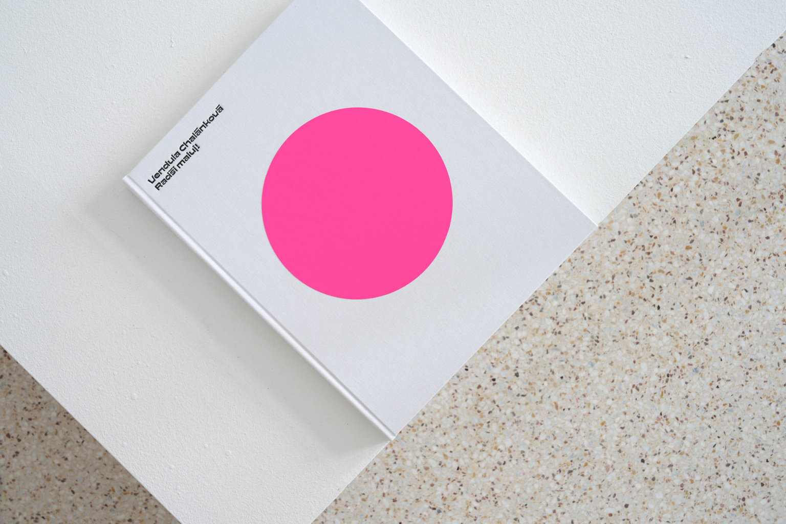 Katalog Rad�i maluj, kter� vy�el ke stejnojmenn� retrospektivn� v�stav� autorky, reflektuje celou jej� um�leckou dr�hu.