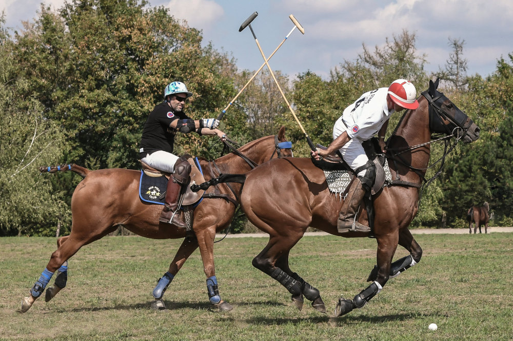 Prague Polo Cup 2018