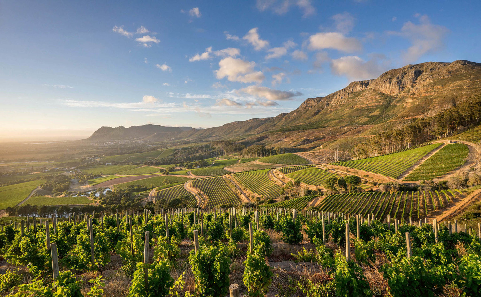 Vina�stv� Klein Constantia