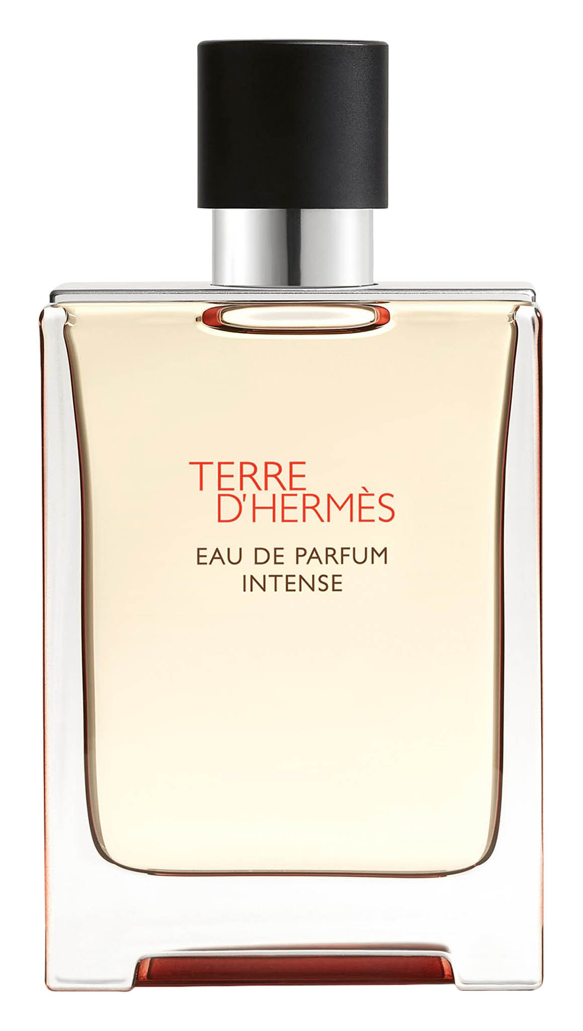 Voní mi můj pes a parfém Terre d’Hermès. (Foto: archiv Davida Tureckého) Voní mi můj pes a parfém Terre d’Hermès.