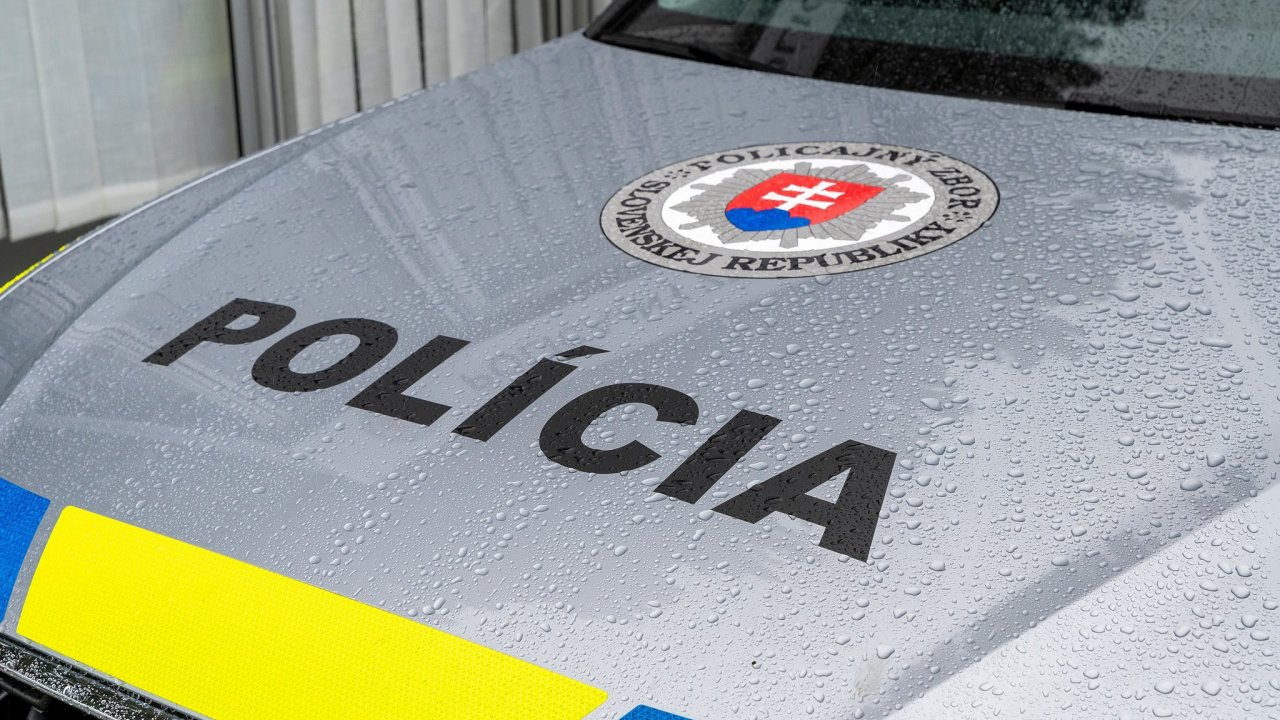 policie, slovensko