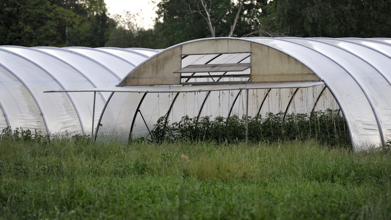 Ekologick farma v Uelzenu