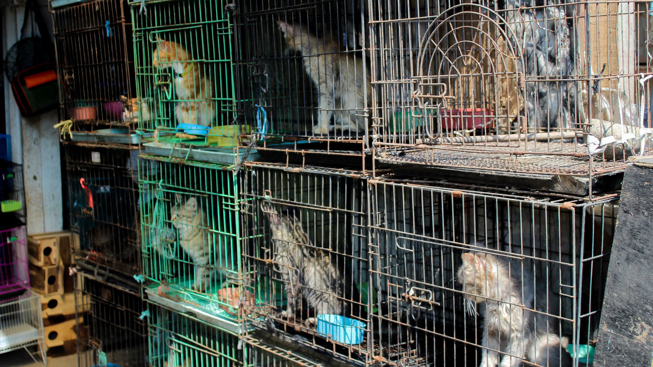 Podm�nky pro chov zv��at