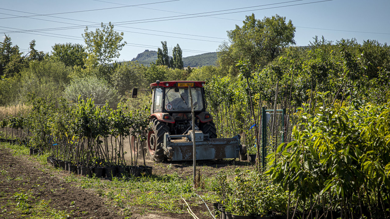 Dosud byla podpora nastavena p�edev��m pro mal� a st�edn� podniky. Ministerstvo zem�d�lstv� ale jedn� s Bruselem o tom, aby na stejn� investice dos�hly i velk� firmy.