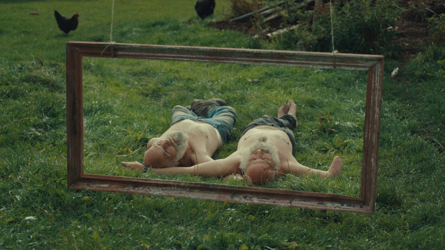 film Radji zelet v divoin