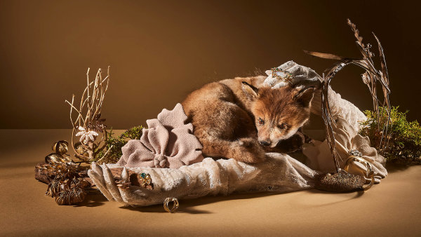 Nové české poklady