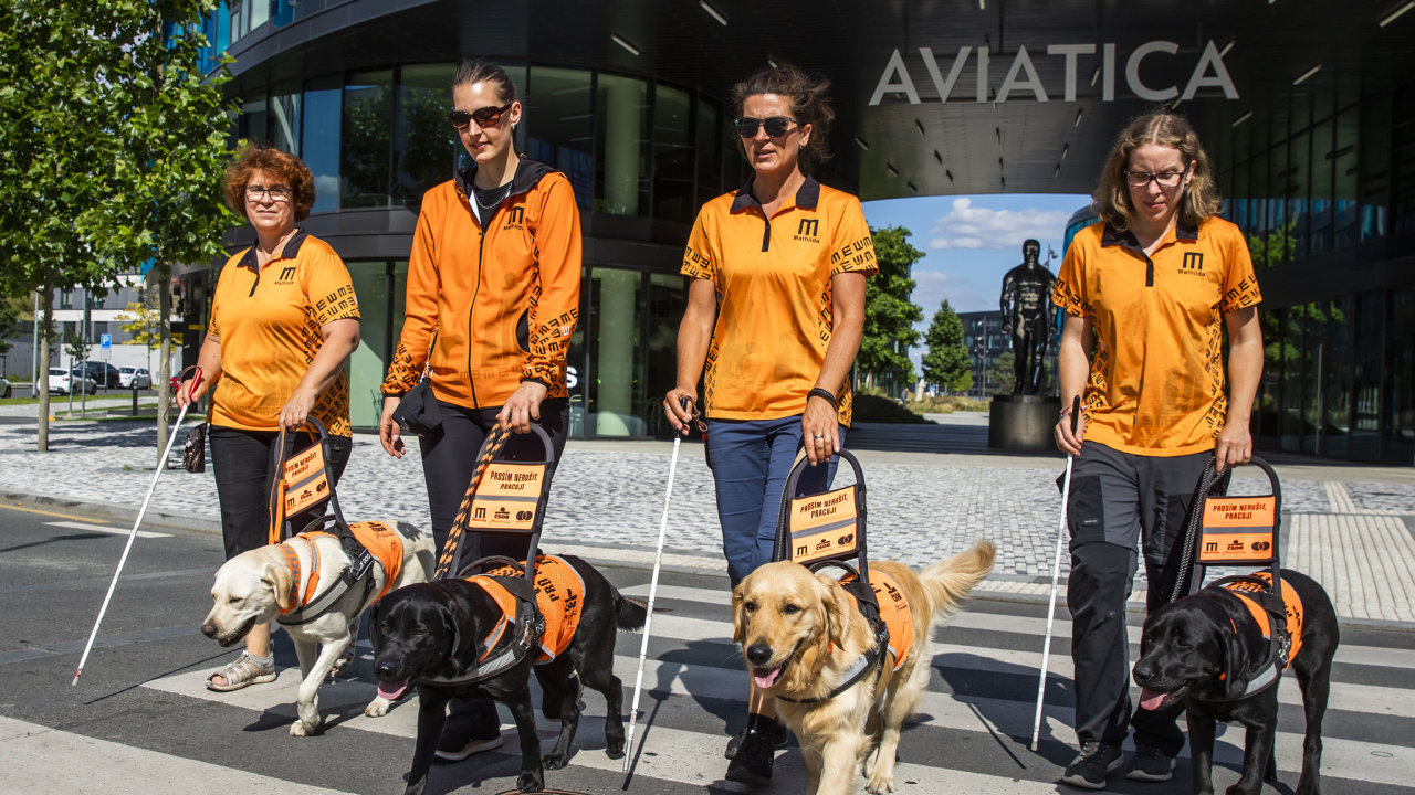 Vcvik vodcch ps ve skupin