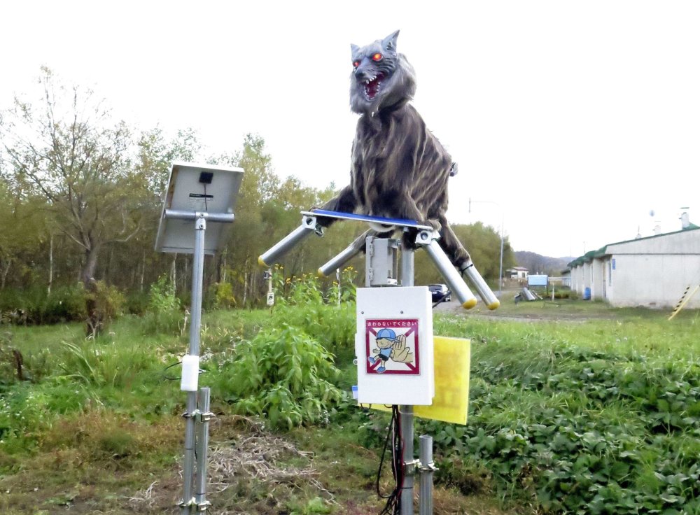 Robotický vlk cení zuby a oči mu svítí rudě. Při spuštění senzorů otáčí hlavou a vyluzuje skřeky, které jsou slyšet až na kilometr daleko.