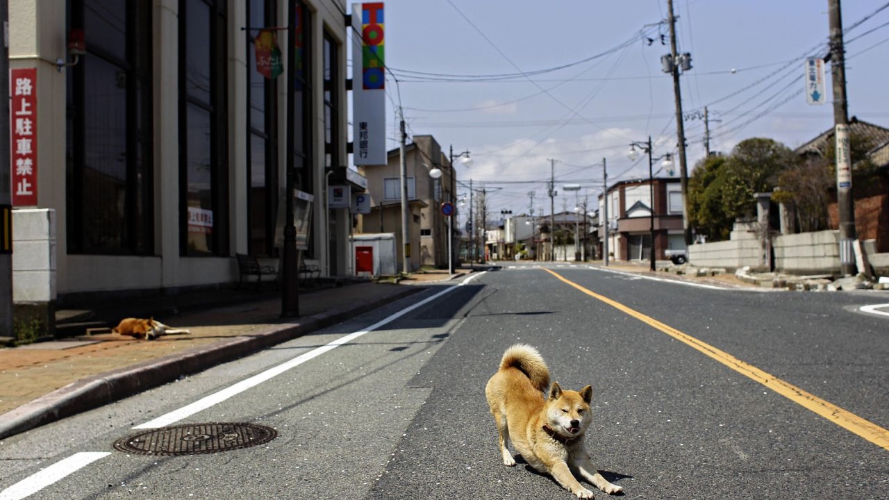 Oputn obec v evakuan zn u Fukuimy