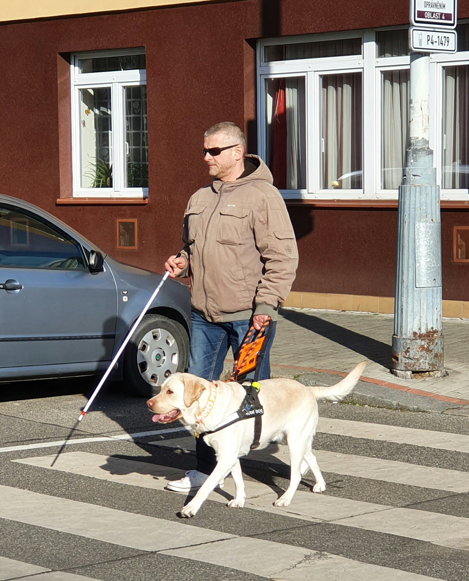 Nalzt pechod a pevst nevidomho je jednou ze zkladnch dovednost psa