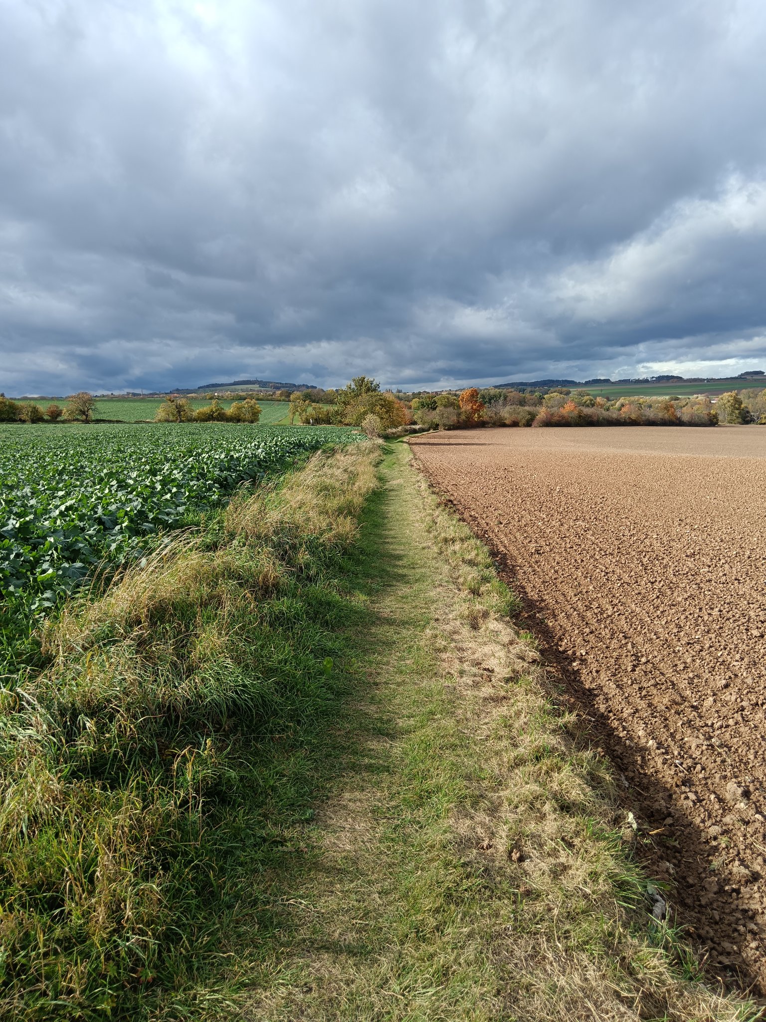 V d�sledku vy���ch teplot se zvy�uje v�par z�rostlin i�z�krajiny. V�zimn�ch...
