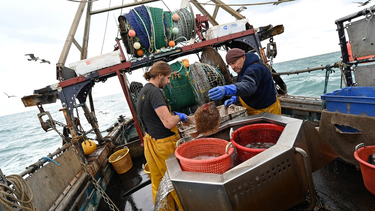 Co s tìmi rybami? Drtivá vìtšina britských rybáøù v roce 2016 v referendu hlasovala pro brexit. Teï si ale pøejí dohodu s EU, aby do ní mohli dál vyvážet.