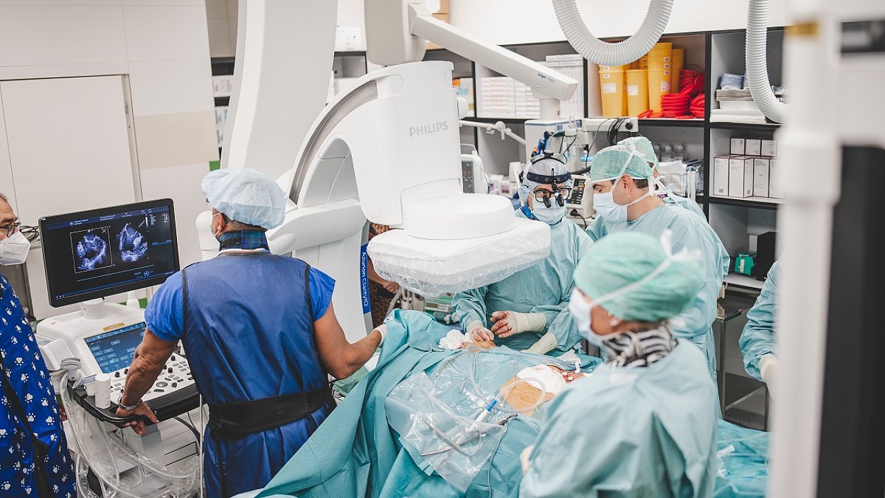 Kardiocentrum vtzn Nemocnice esk Budjovice ped nedvnem provedlo uniktn implantaci katetrov mitrln chlopn